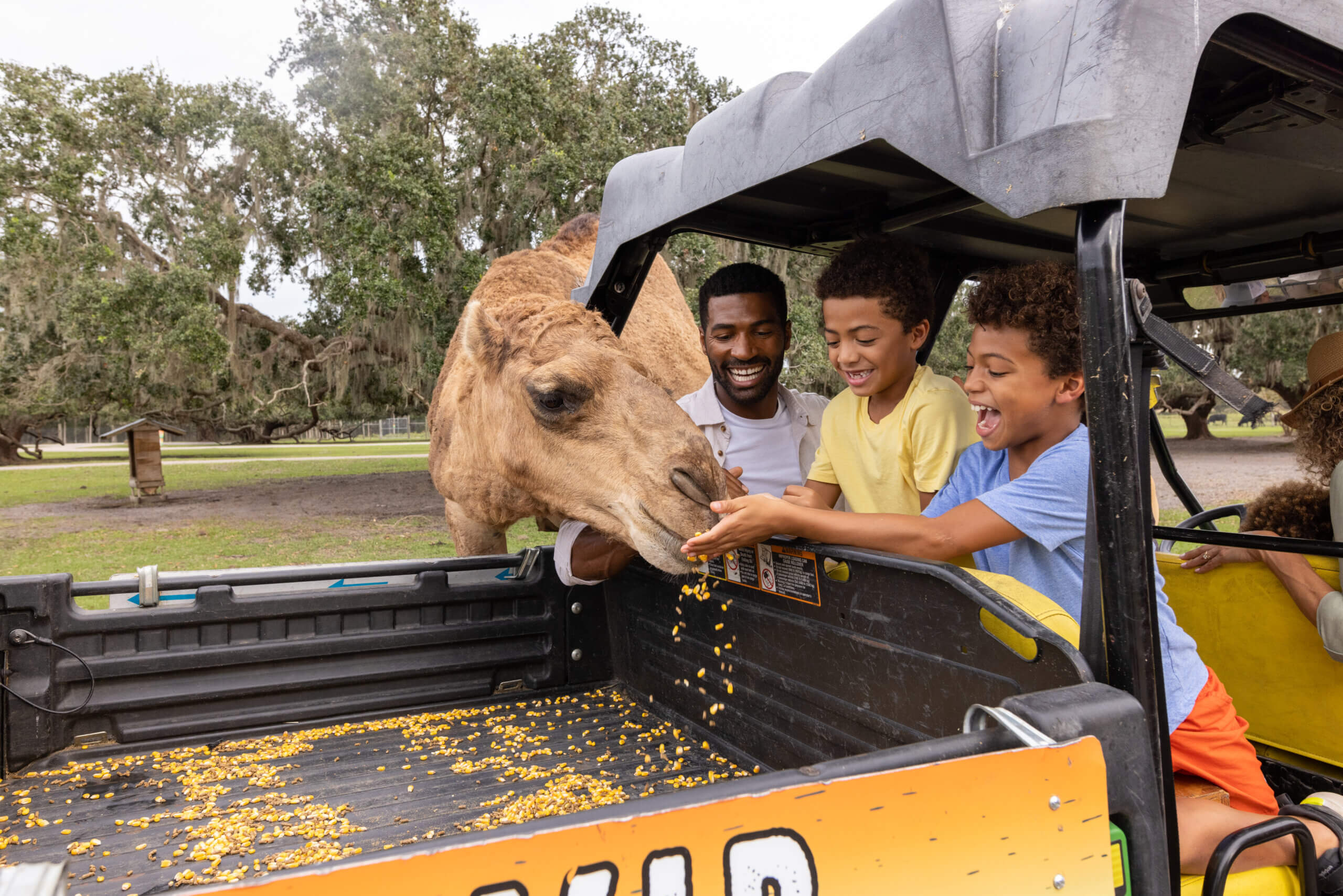 Commercial photography portfolio 117 Experience Kissimmee Camel